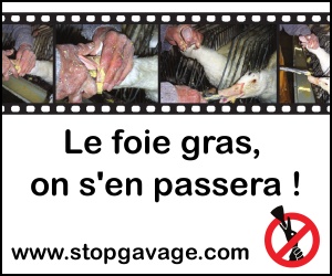 Bannière Stop Gavage